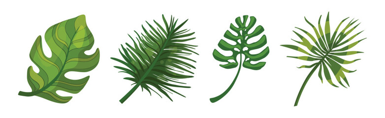Tropical Exotic Green Leaves and Foliage Vector Set