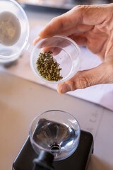 evaluation of the chemical properties of the Cannabis sativa plant, marijuana, for a contest, Mallorca, Balearic Islands, Spain