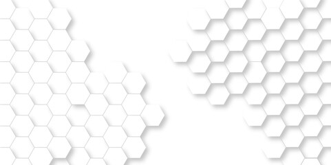 White Hexagonal Background. Luxury White Pattern. Vector Illustration. 3D Futuristic abstract honeycomb mosaic white background. geometric mesh cell texture. modern futuristic wallpaper.