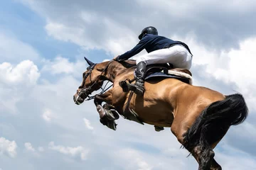  Equestrian Sports photo-themed: Horse jumping, Show Jumping, Horse riding. Jockey competing in horse jumping competition. © Pratiwi