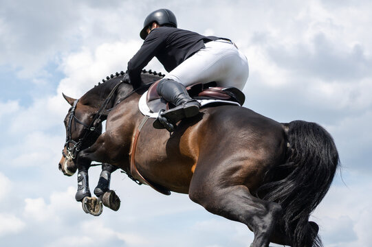 Equestrian Sports photo-themed: Horse jumping, Show Jumping, Horse riding. Jockey competing in horse jumping competition.