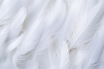 Fototapeta na wymiar Feathers background for peace calm, Closeup, white and feathers background , Closeup White Feathers Background for Peace, Calm, and Spirituality, Ai generated