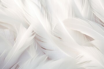 Feathers background for peace calm, Closeup, white andDivine Harmony: AI-Generated Feathers...