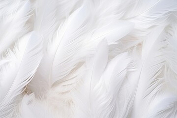 Fototapeta na wymiar Feathers background for peace calm, Closeup, white and feathers background for spirituality for God, religion and hope, Ai generated