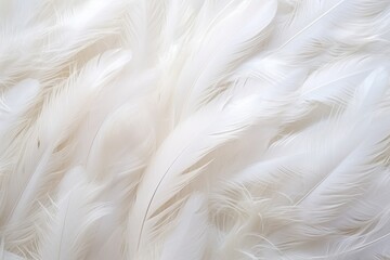 Closeup, white and feathers background for peace, white and feathers background for spirituality for God, religion and hope, Ai generated