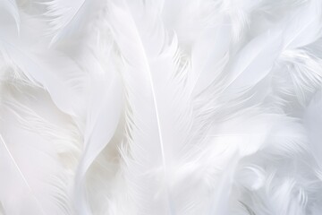 Fototapeta na wymiar Feathers background for peace calm, Closeup, white and feathers background for spirituality for God, religion and hope, Ai generated
