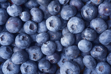 Close up photograph of fresh blueberries. Blueberries are a nutritious, delicious food. Healthy organic eating concept. Anthocyanin gives blueberries  blue colour and health benefits. Background.