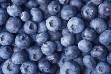 Close up photograph of fresh blueberries. Blueberries are a nutritious, delicious food. Healthy...