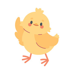 Cute cartoon chiken. Spring collection of animals. Collection of doodle animal and adorable design for kids. Hand drawn spring vector illustration.