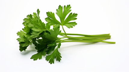 Fresh parsley on white background perfect for healthy cooking concepts