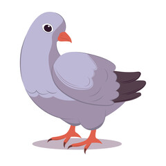 Dove of colorful set. The street dove shines in all its colorful glory, its vibrant plumage standing out against the pristine white background with striking beauty and elegance. Vector illustration.