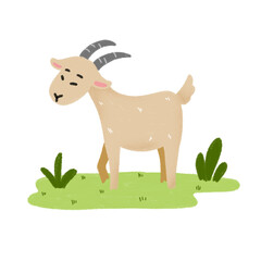 Handdrawn Animal Illustration - Goat