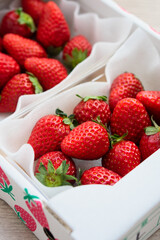 ふるさと納税の返礼品のいちご