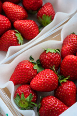 ふるさと納税の返礼品のいちご