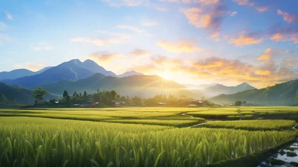 Tuinposter Green rice field view There was golden light from the sun shining on the rice fields. © witoon
