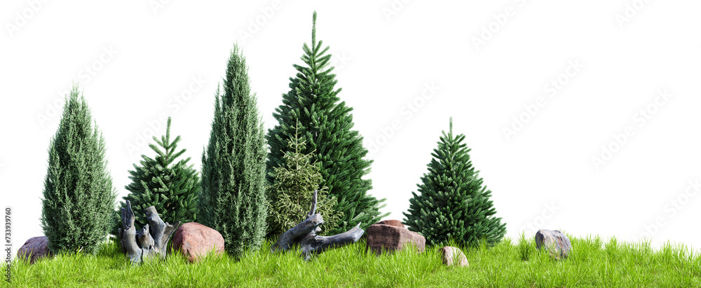 Poster garden trees, rock and stumps design isolated on transparent background. 3d render. 3d illustration.
