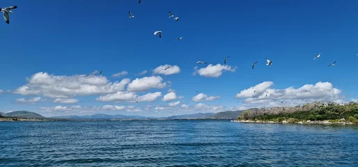 Tuinposter birds on lake sevan armenia, cormorants and sea gulls © Michaela Holubová