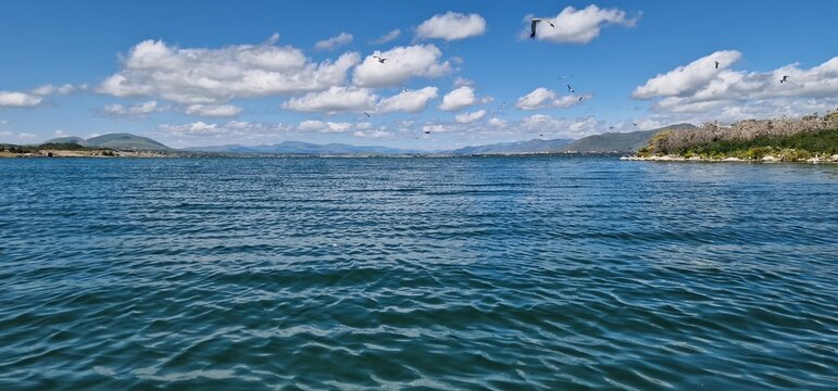 birds on lake sevan armenia, cormorants and sea gulls