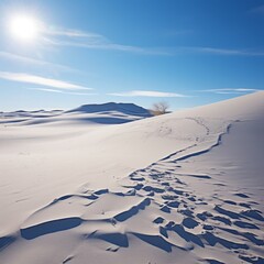 Fototapeta na wymiar The vast white sand dunes of White Sands National Park in New Mexico, USA