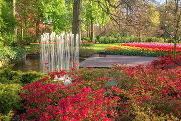 Keukenhof royal garden in spring, scenic view of sunny park alley with different flowers and bright green grass and trees, beautiful landscape, outdoor travel and botanical background, Netherlands - 733952905