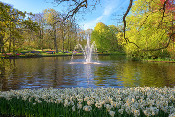 Keukenhof royal garden in spring, scenic view of sunny park alley with different flowers and bright green grass and trees, beautiful landscape, outdoor travel and botanical background, Netherlands - 733952906