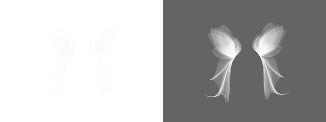 Angel wing. White wing on transparent background, Magic wings isolated, wing png, white feather png, photoshop overlay	