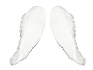 Angel wing. White wing on transparent background, Magic wings isolated, wing png, white feather png, photoshop overlay	