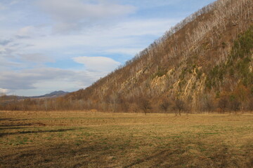 A grassy field with trees and mountains in the background