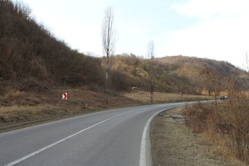 A road with trees on either side