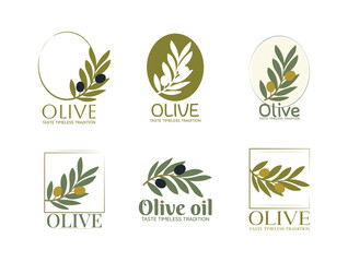Set of vector logos of olive branch with leaves. Modern hand drawn vector olive oil icons. Branding concept for olive oil company, organic, eco-friendly oil products, culinary services
