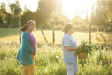 two women collecting vegetables in the field