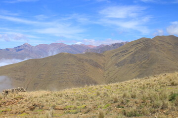 Fototapeta na wymiar Rural landscape and mountains in northwest Argentina