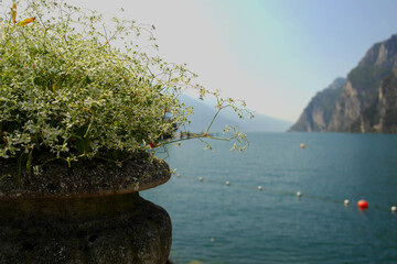View of Lake Garda with beautiful flowers with broken effect, Riva del Garda, Italy