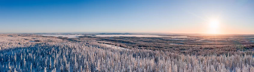 Foto op Plexiglas Winter landscape at sunset in Finnish Lapland. Cold winter with lot of snow and blue sky. Spruce trees covered by snow © Artem