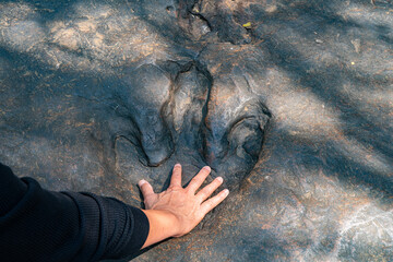 Large, carnivorous dinosaur footprints It was intricately carved into the stone. Refers to a long past era when gigantic creatures roamed the wasteland. Leaving a formidable mark behind.