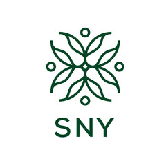 SNY  logo design template vector. SNY Business abstract connection vector logo. SNY icon circle logotype.
