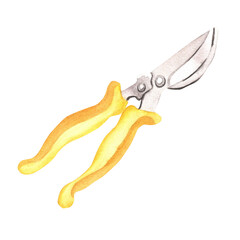 Hand-drawn watercolor illustration. Secateurs pruner garden tools. Pruning shears, garden hand pruners, pruning scissors, garden scissors. Clipart