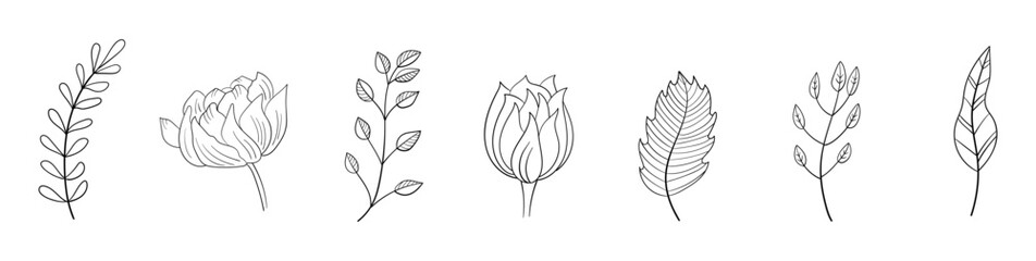 Set of Hand Drawn Line Flowers vector