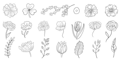 Fototapeta na wymiar Set of Hand Drawn Line Flowers vector