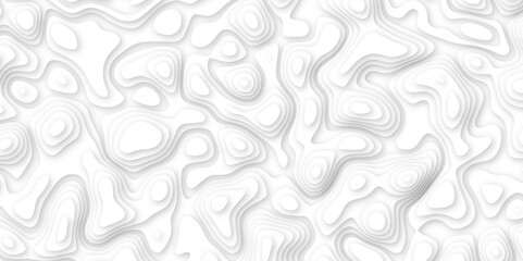 white paper and relief wave and cruve line paper cut background. soft white color seamless pattern, vector illustration, multi layer cutout banner design. topo counter map in 3d view.