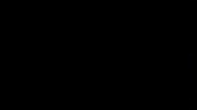 Rainbow Flag Transition.
A waving rainbow flag transition on a transparent alpha channel background for easy drag and drop.