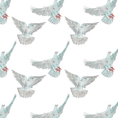 Watercolor birds flying pigeons paattern. Birds print. Hand painted illustration in natural colors on white backround.