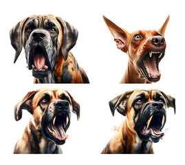 Set of rabies dogs on transparent background PNG. Summer rabies concept.