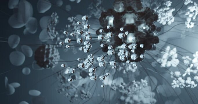 Etripamil rotating 3d molecule, molecular structure of phenylbutylamines, seamless video