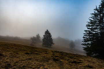 Das Fliegerdenkmal erscheint in der Landschaft . schemenhaft ist es durch den Nebel von weitem zu...