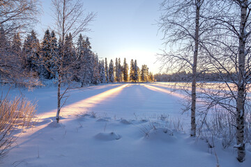 Sunrays through trees in a winter landscape at a frozen lake; wallpaper