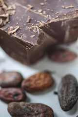 Cocoa beans with chocolate on a white background. Shalllow dof.
