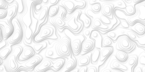 white paper and relief wave and cruve line paper cut background. soft white color seamless pattern, vector illustration, multi layer cutout banner design. topo counter map in 3d view.