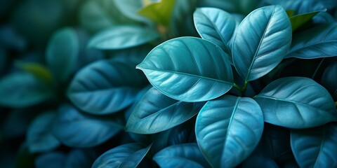 Vibrant green leaves create a fresh and lush backdrop in nature, showcasing the beauty of botanical patterns in a close-up view.