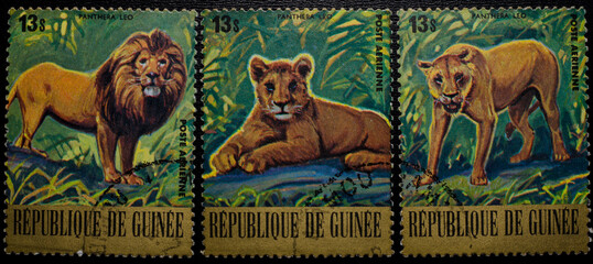Postage stamp, Guinea, African animals